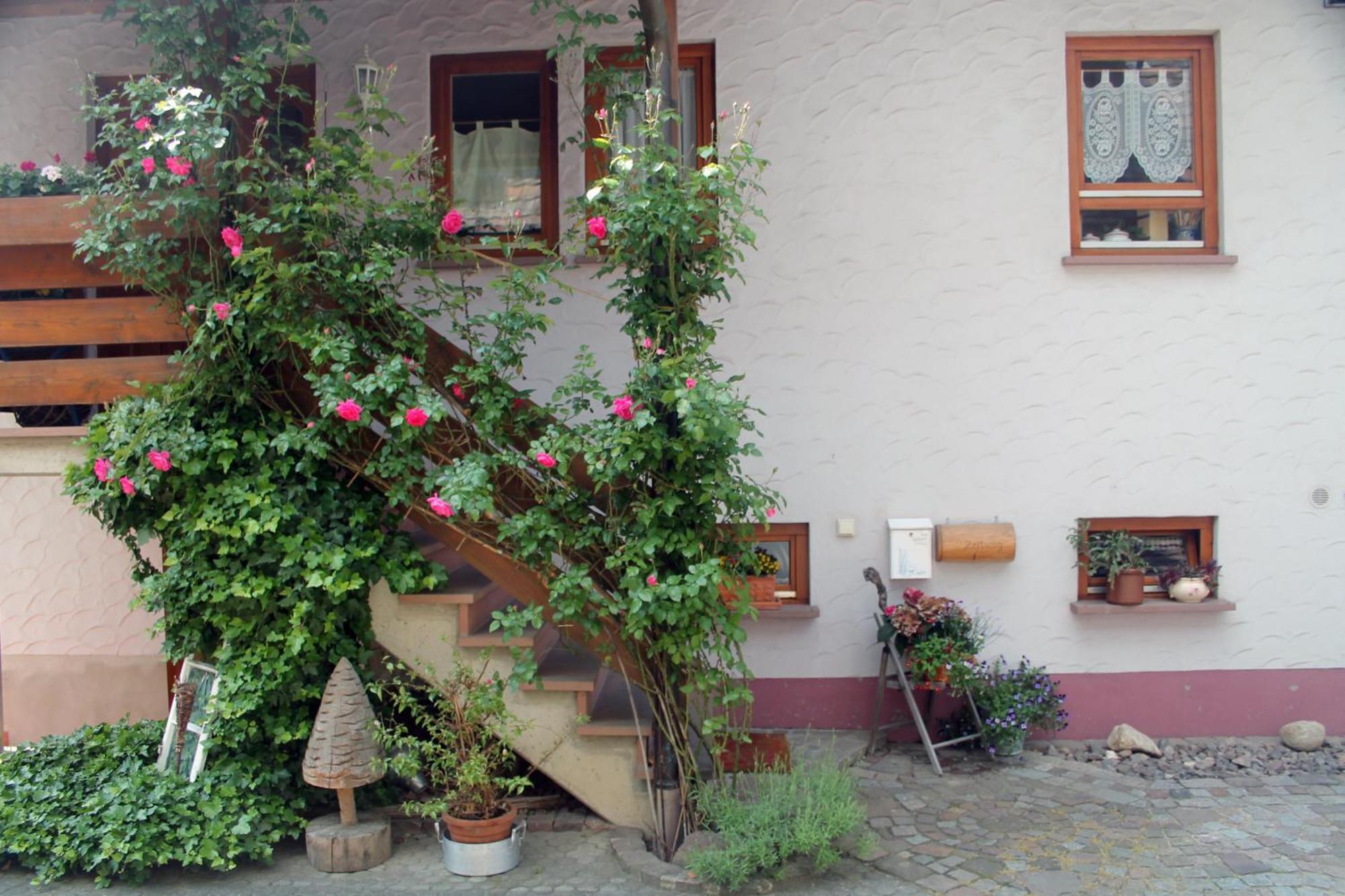 Apartamento Haus Am Bergli Herbolzheim Exterior foto